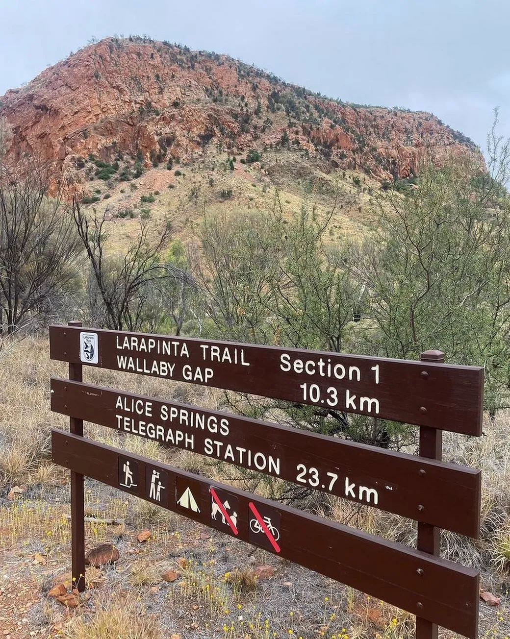 Designated Camping Areas, The Larapinta Trail