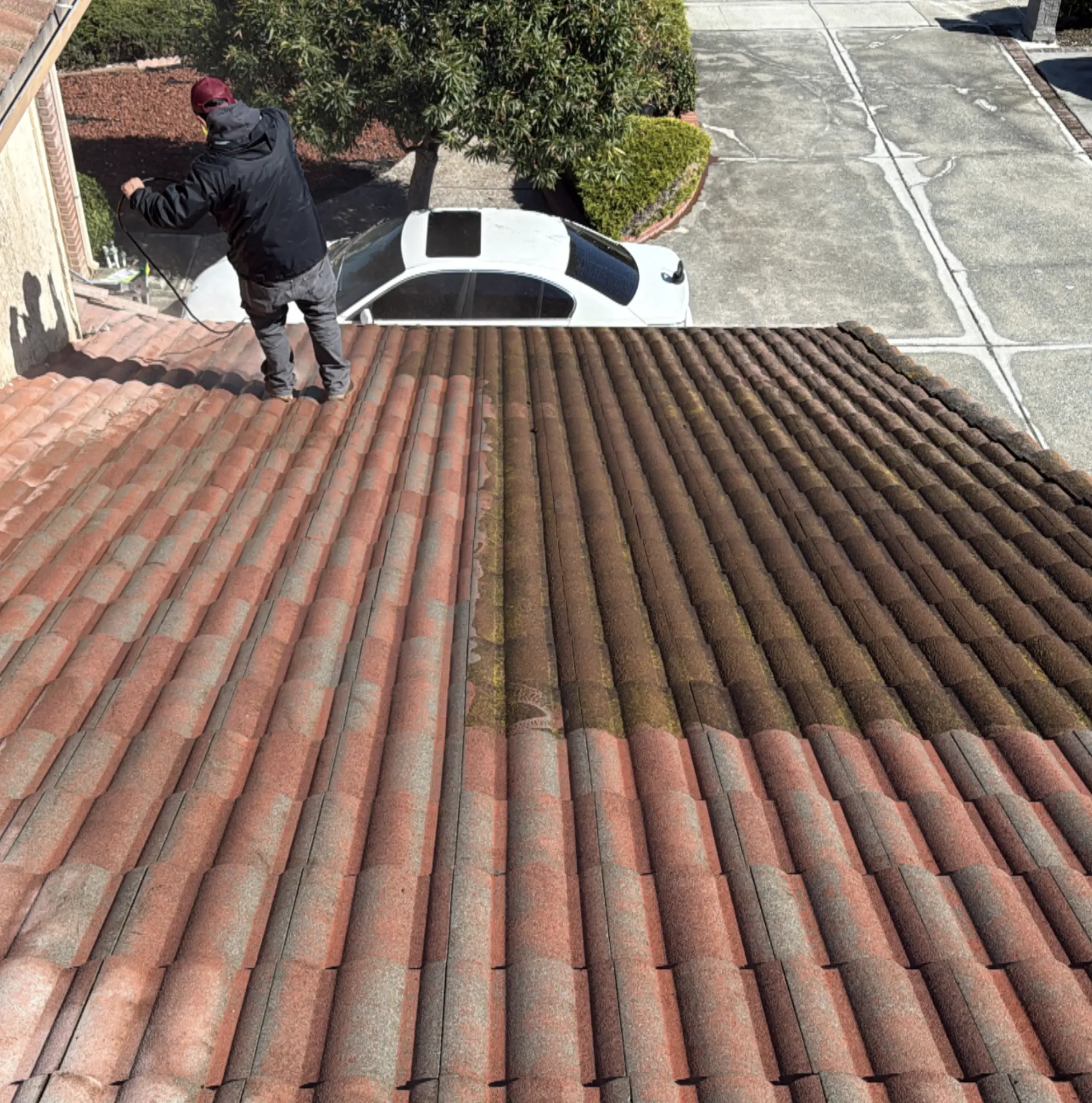 Moss Removal Melbourne