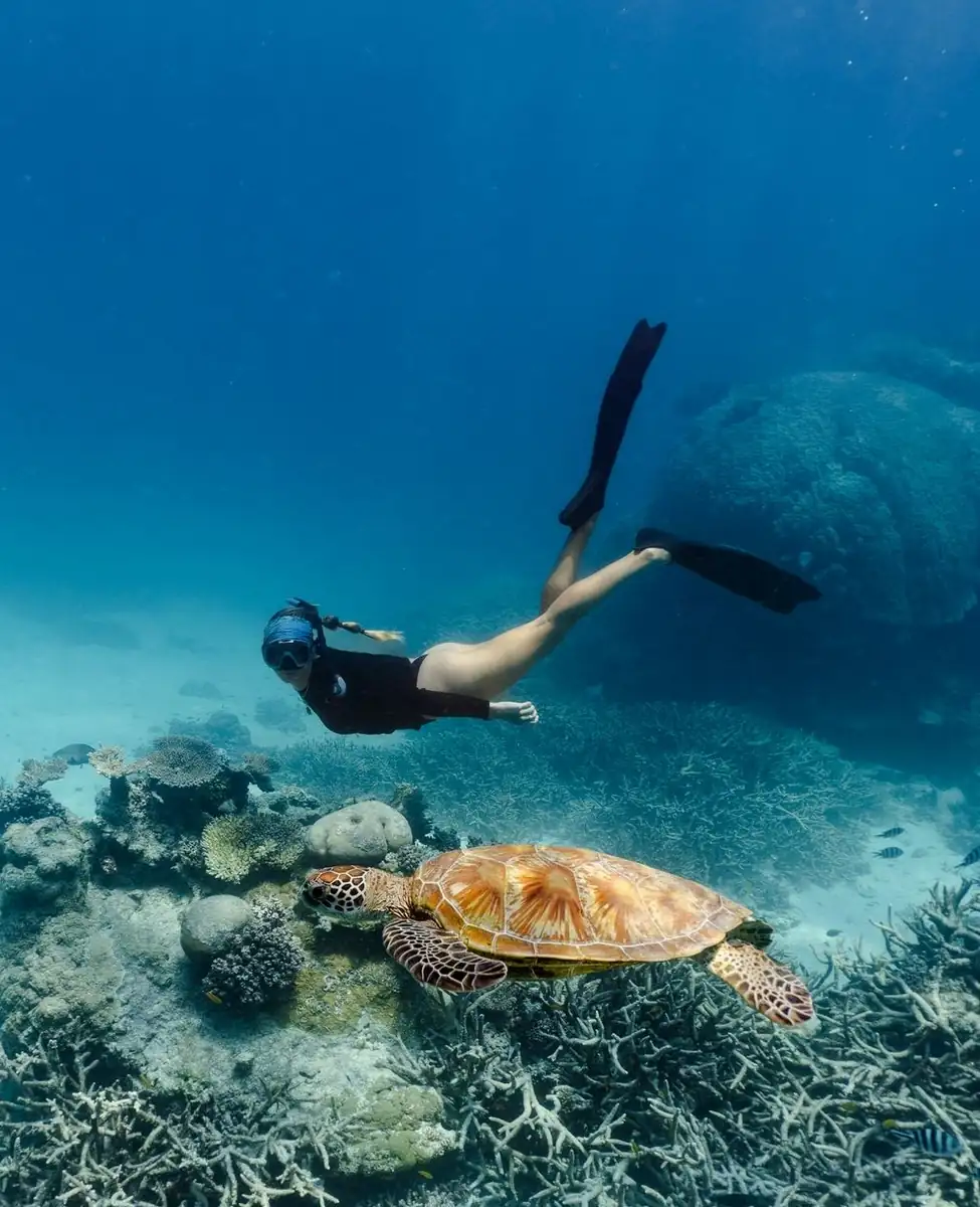 See Coral Without Parting with a Small Fortune