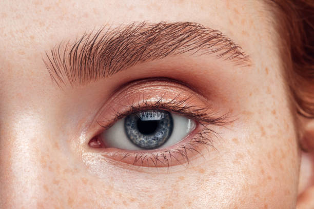 Quotes Makers | Combatting Eyelash Loss: Identifying Causes & Effective Treatments